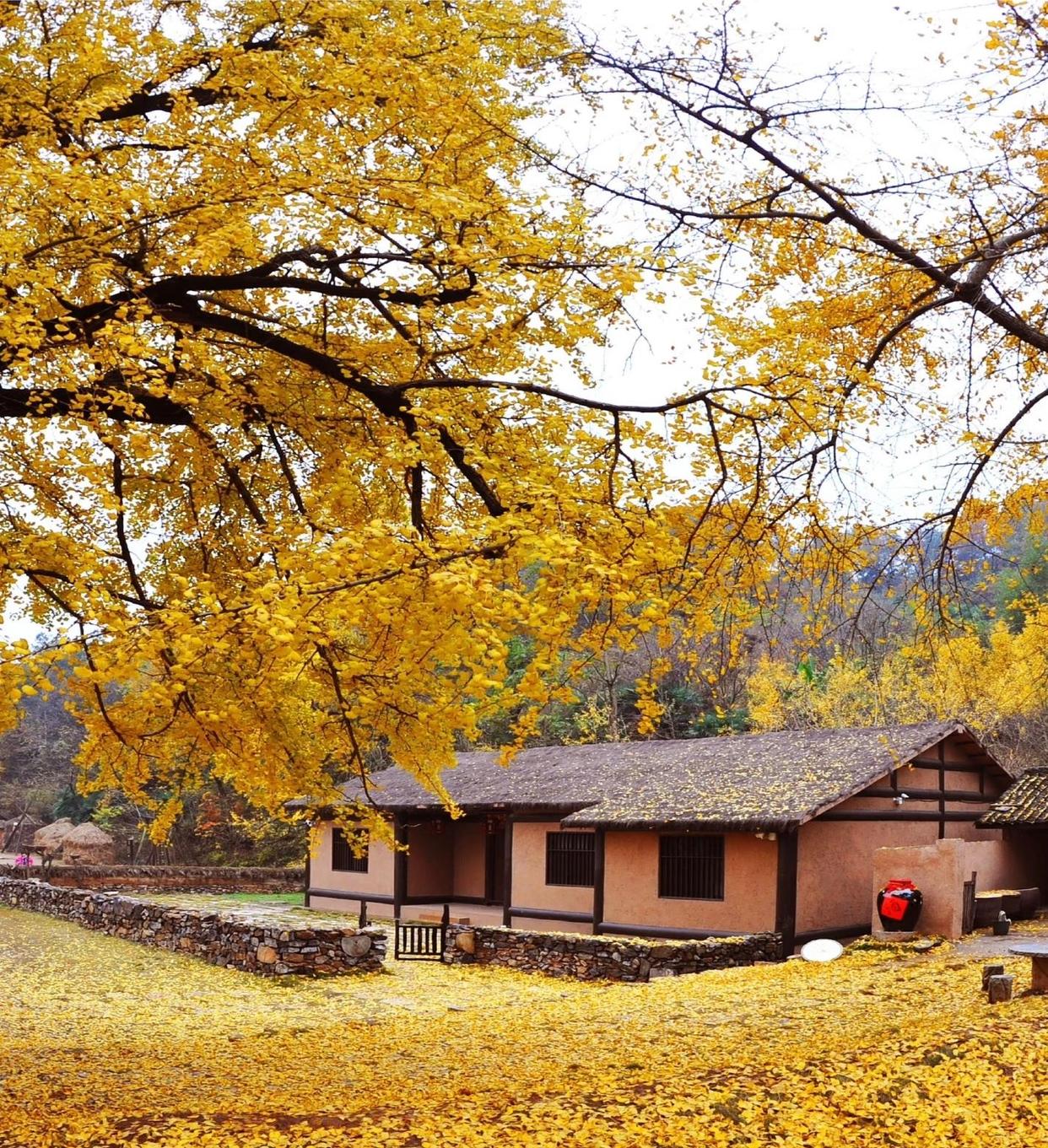 随州旅游_随州旅游攻略