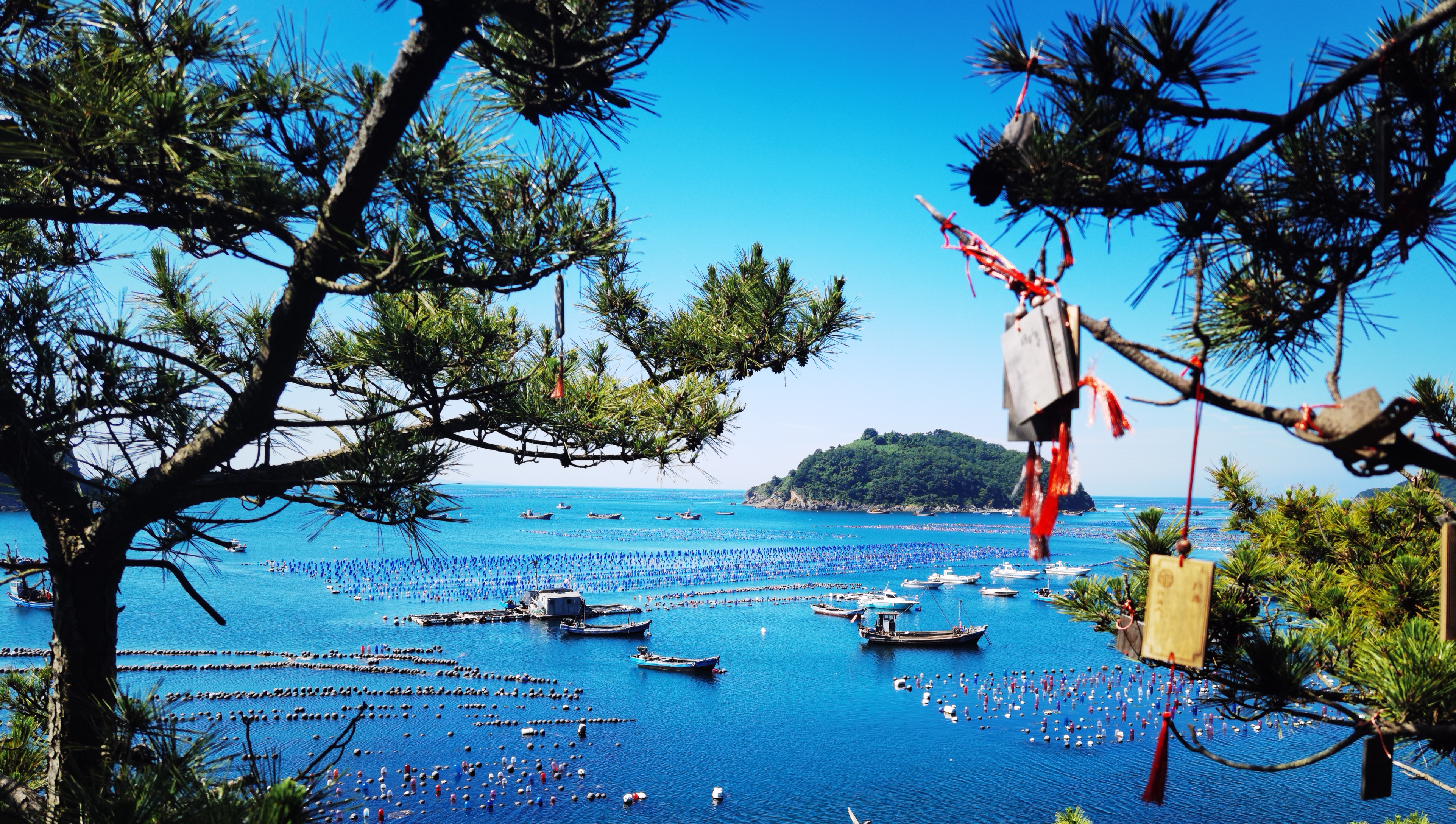 海涛旅游_海涛旅游 许涛