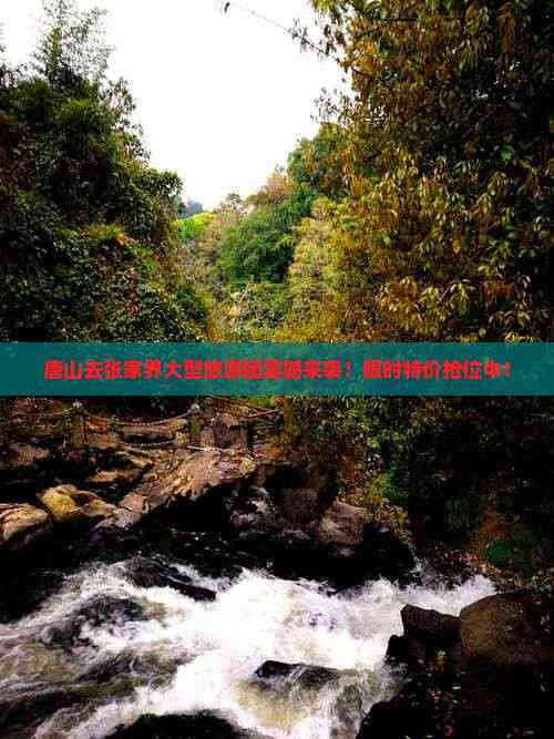 唐山旅游团_唐山旅游团两日游景点