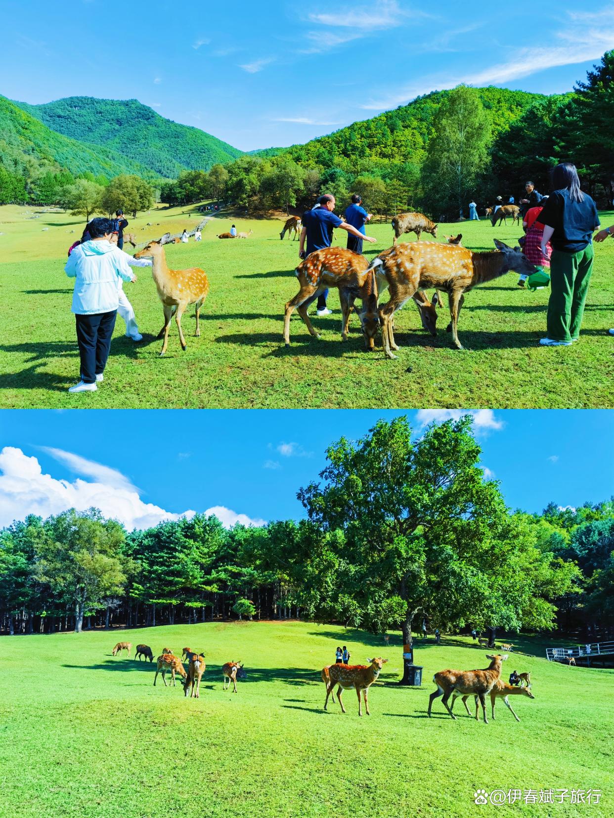 伊春旅游_伊春旅游景点地图大全