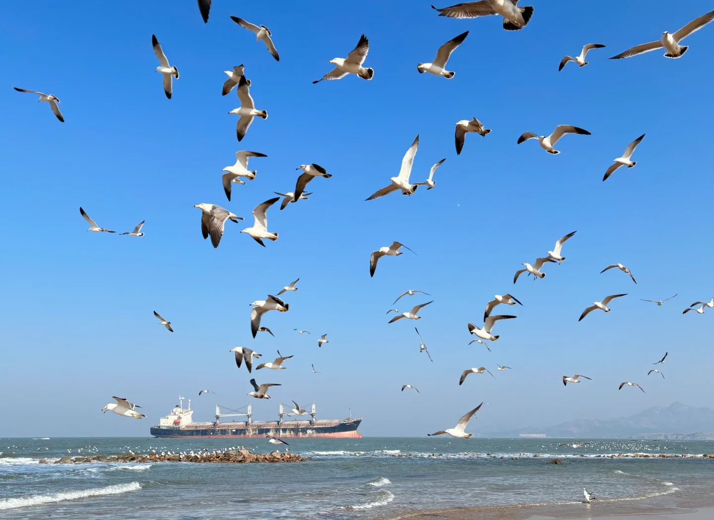 荣成旅游_荣成旅游景点 荣成旅游_荣成旅游景点