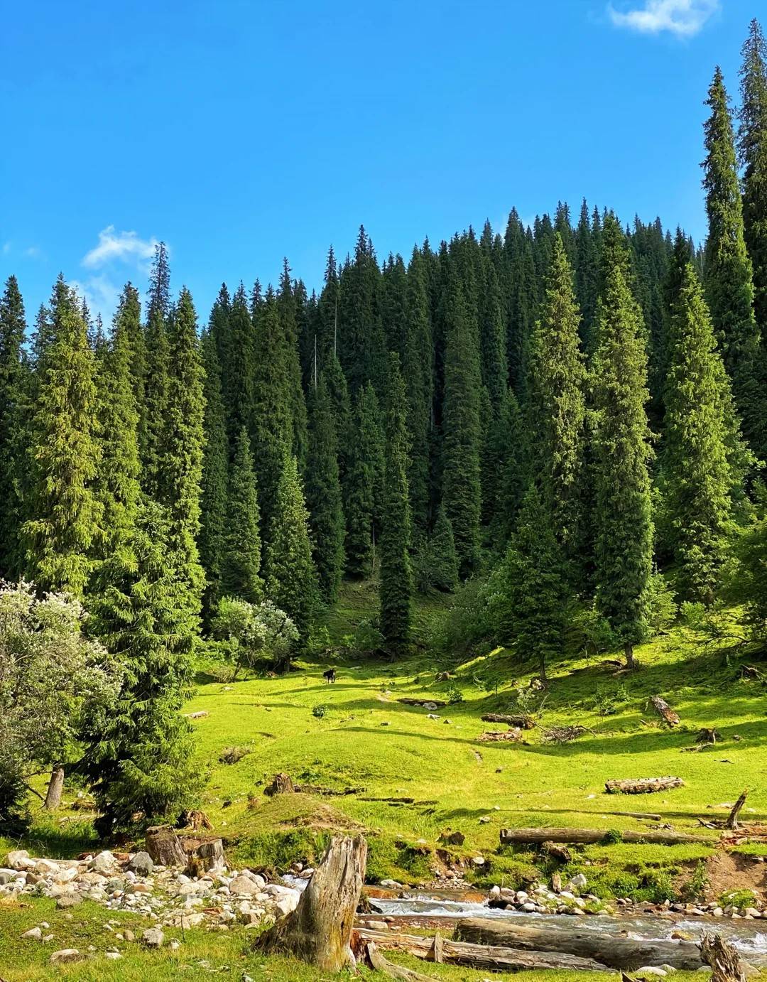 新疆的旅游景点_新疆北部有哪些旅游景点 新疆的旅游景点_新疆北部有哪些旅游景点