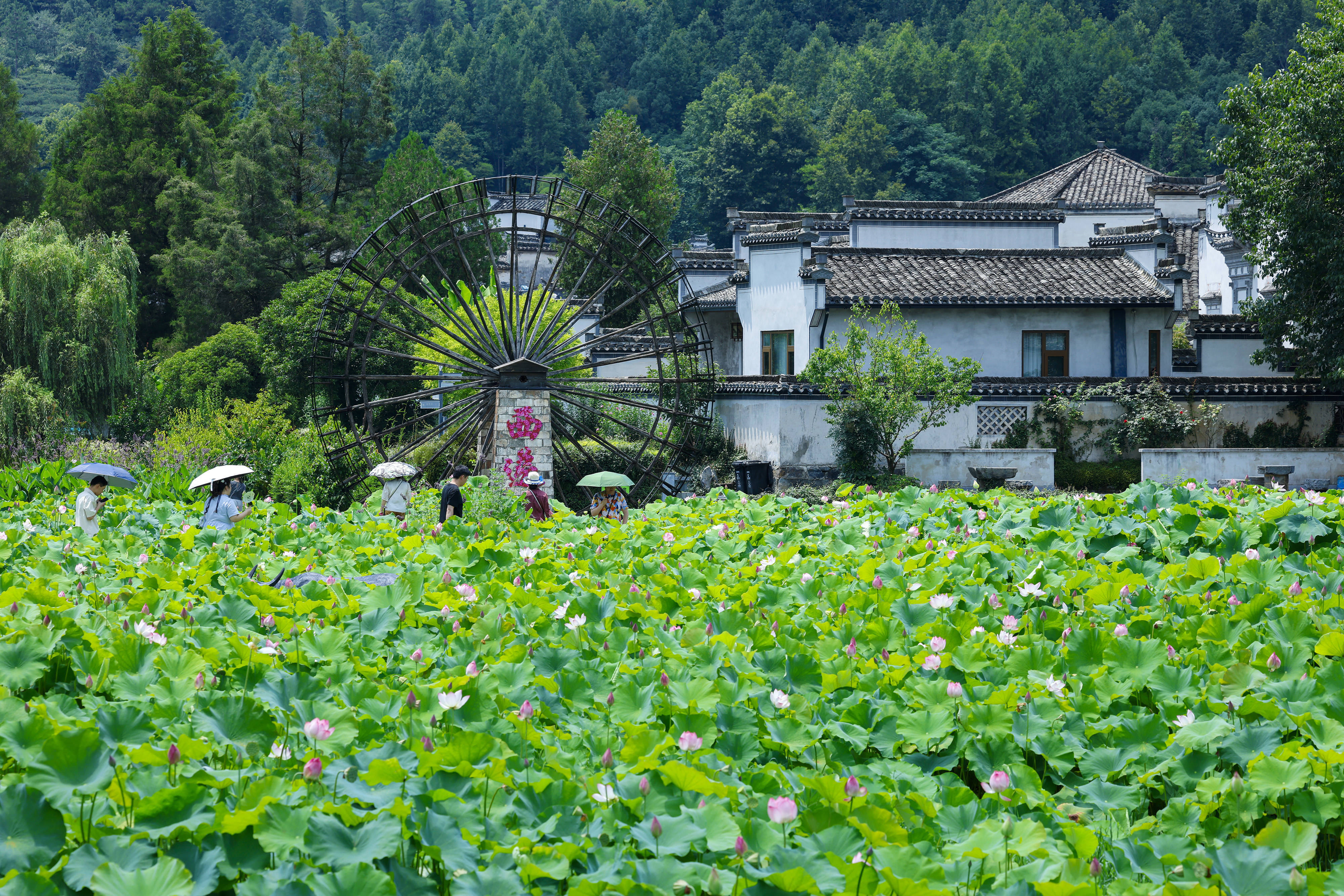 西递旅游_西递旅游景点介绍