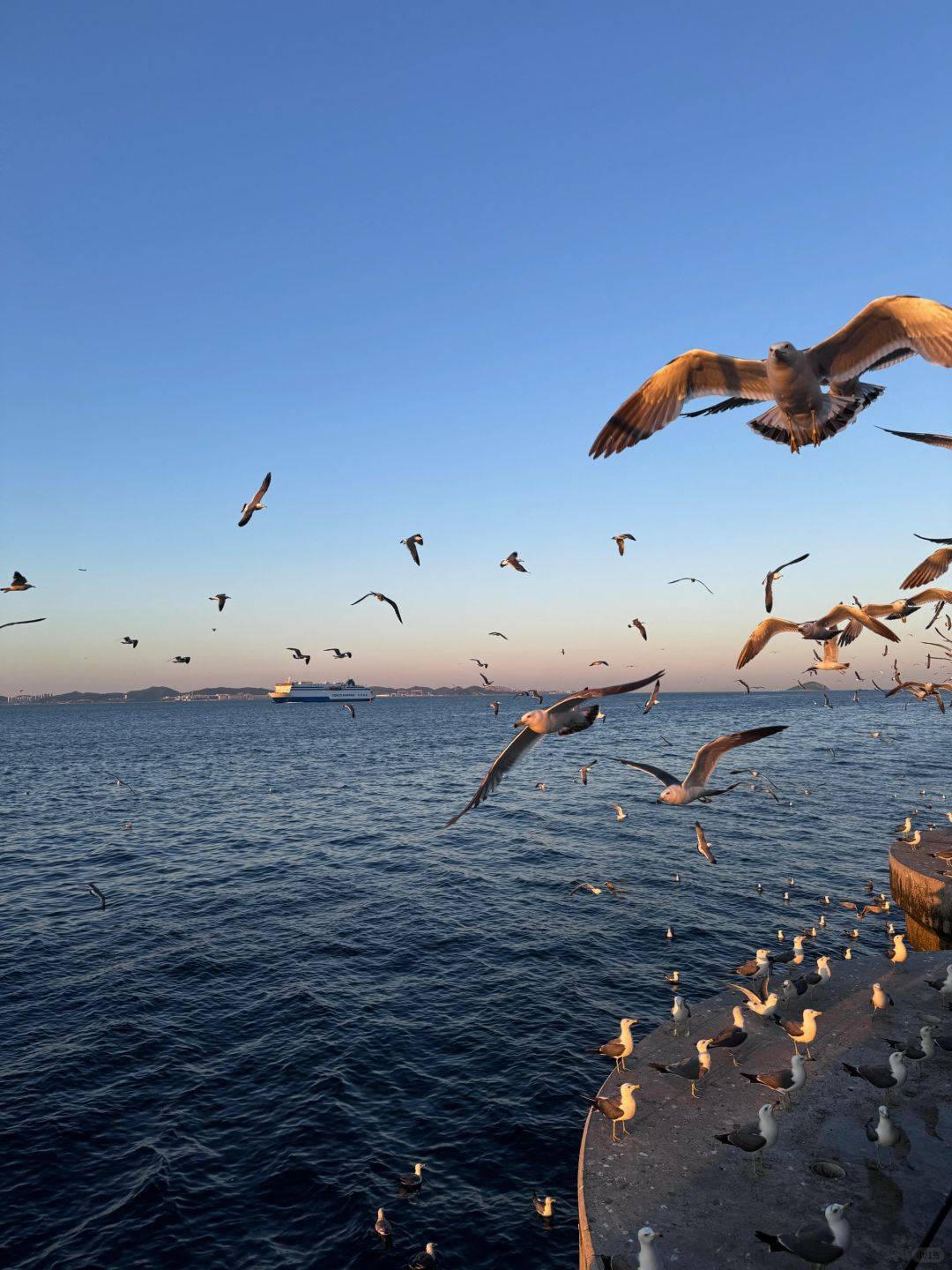 大连旅游图片_大连景点照片大全图片
