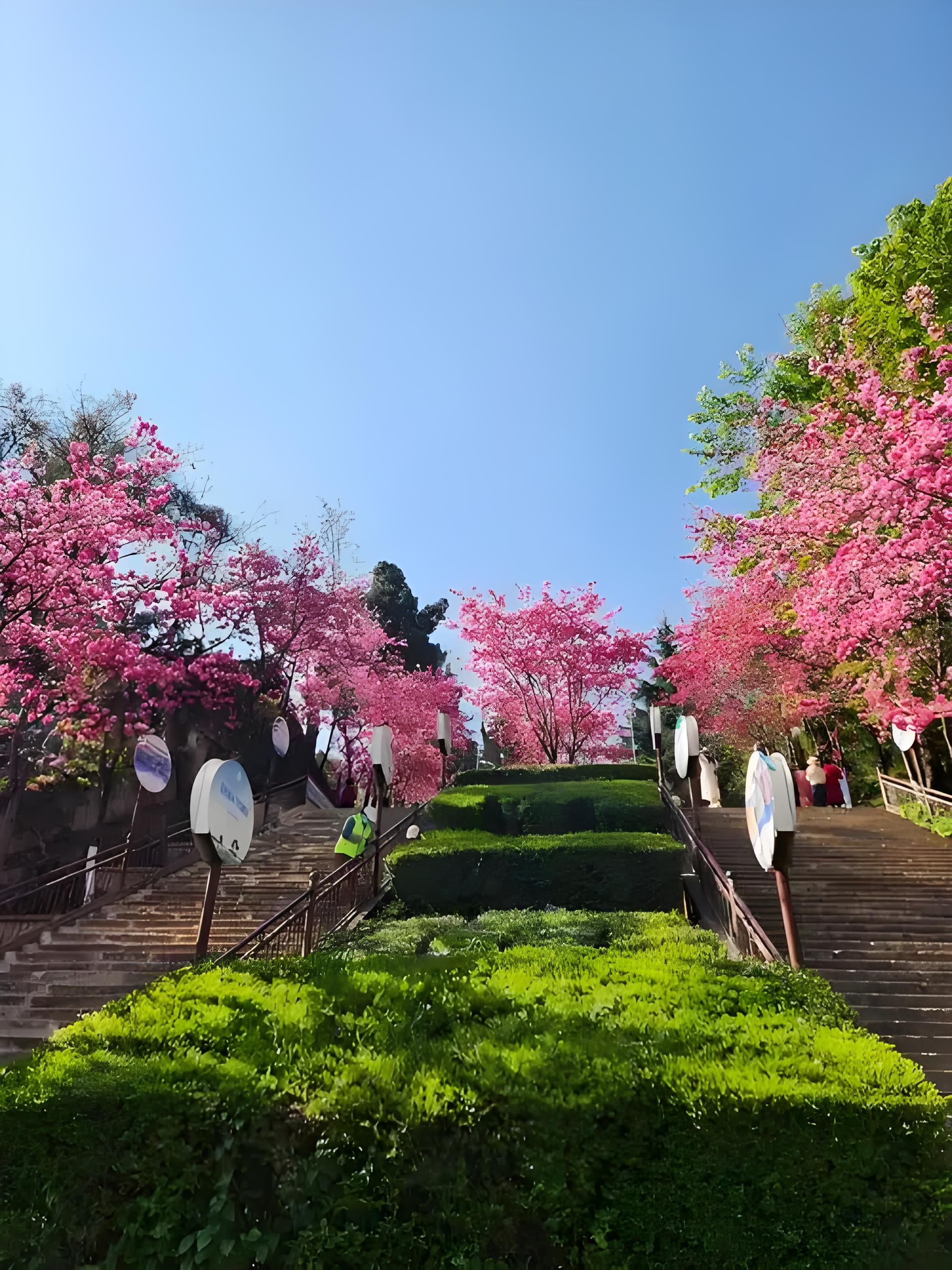 昆明大理丽江旅游_昆明大理丽江旅游攻略