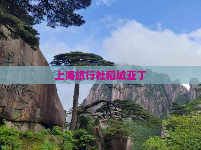 上海旅游社_上海旅游社排名电话 上海旅游社_上海旅游社排名电话