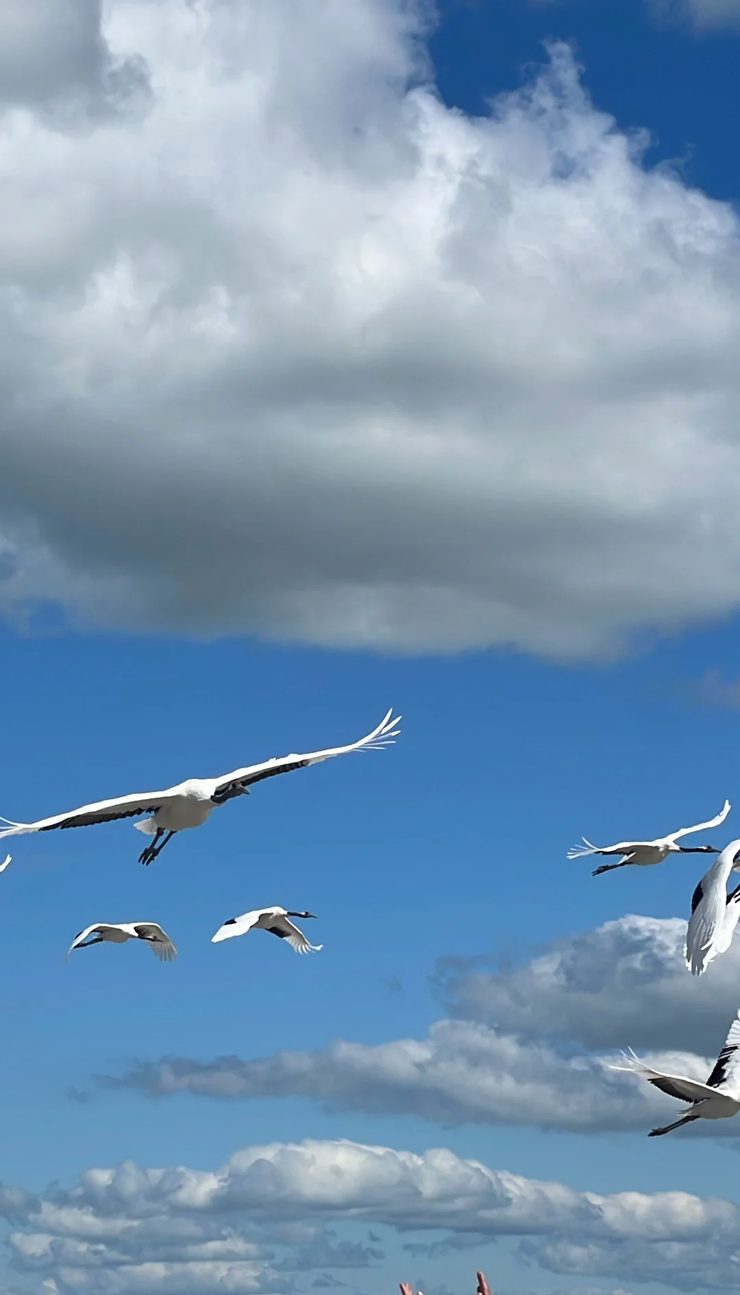 齐齐哈尔旅游_齐齐哈尔旅游住在哪里方便