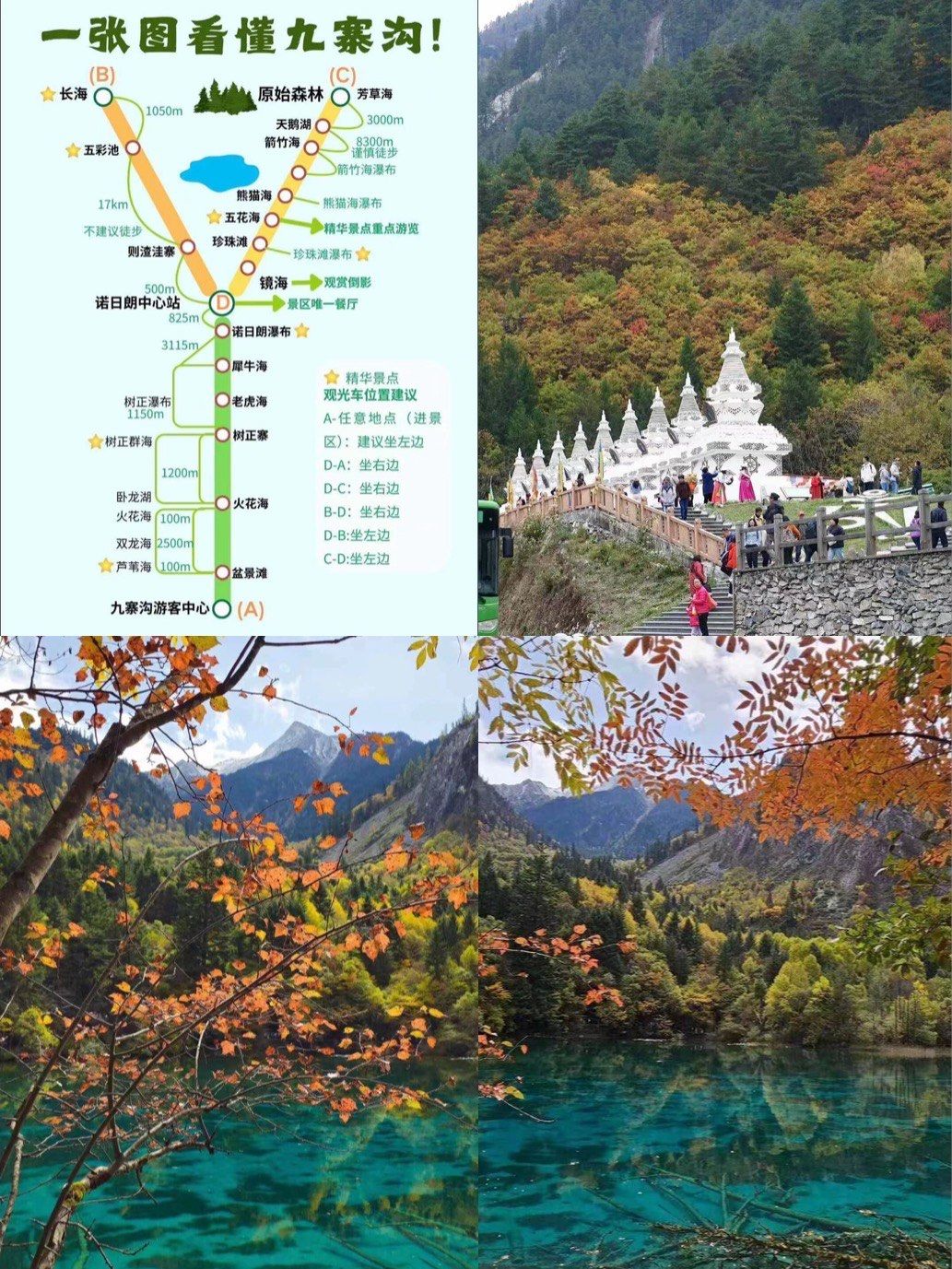 冬季九寨沟旅游攻略_冬天九寨沟旅游攻略自助游