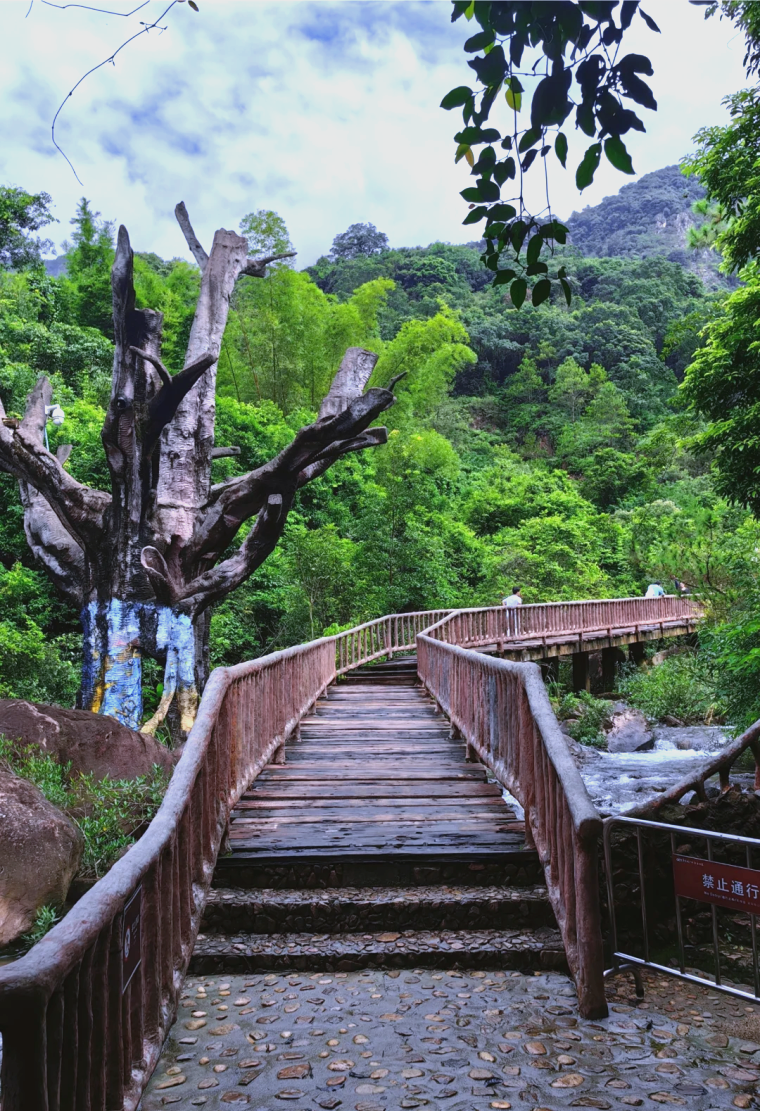 广东旅游胜地_广东旅游胜地前十名