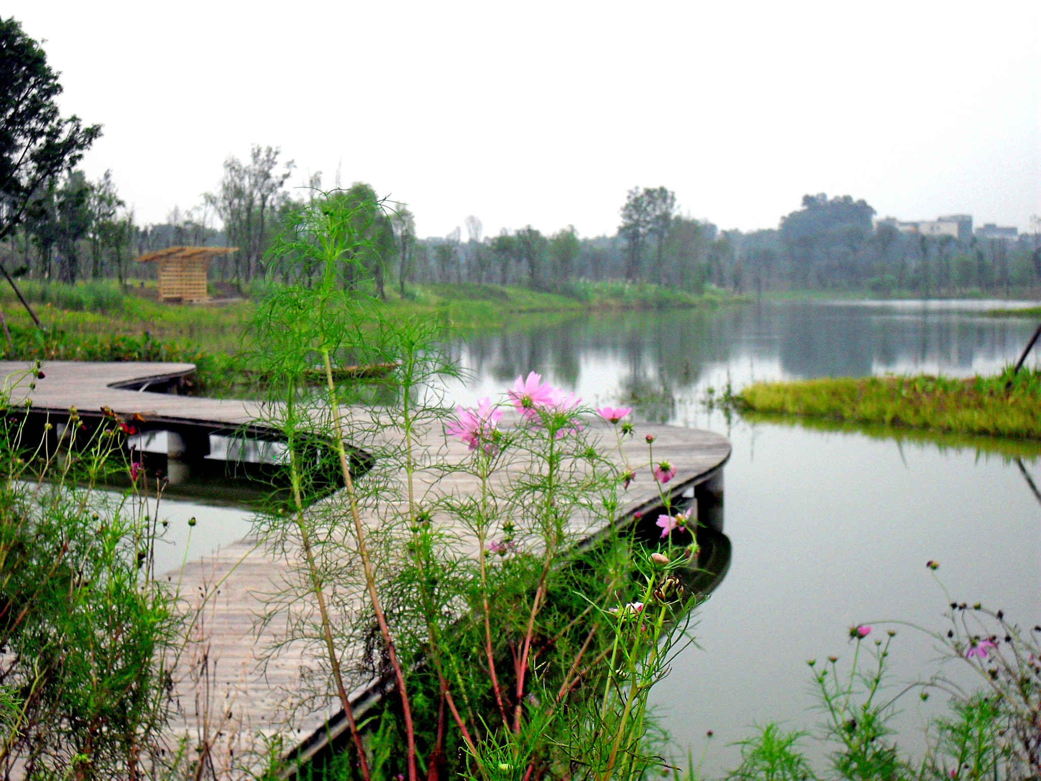 春季旅游好去处_春季最好的旅游景点
