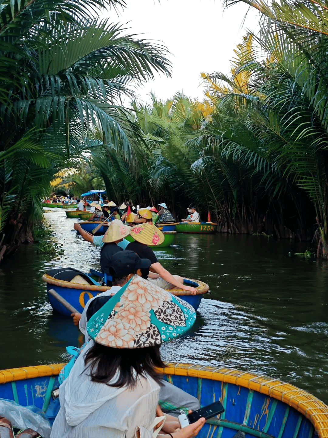 去越南旅游要多少钱_去越南旅游需要多少钱够花