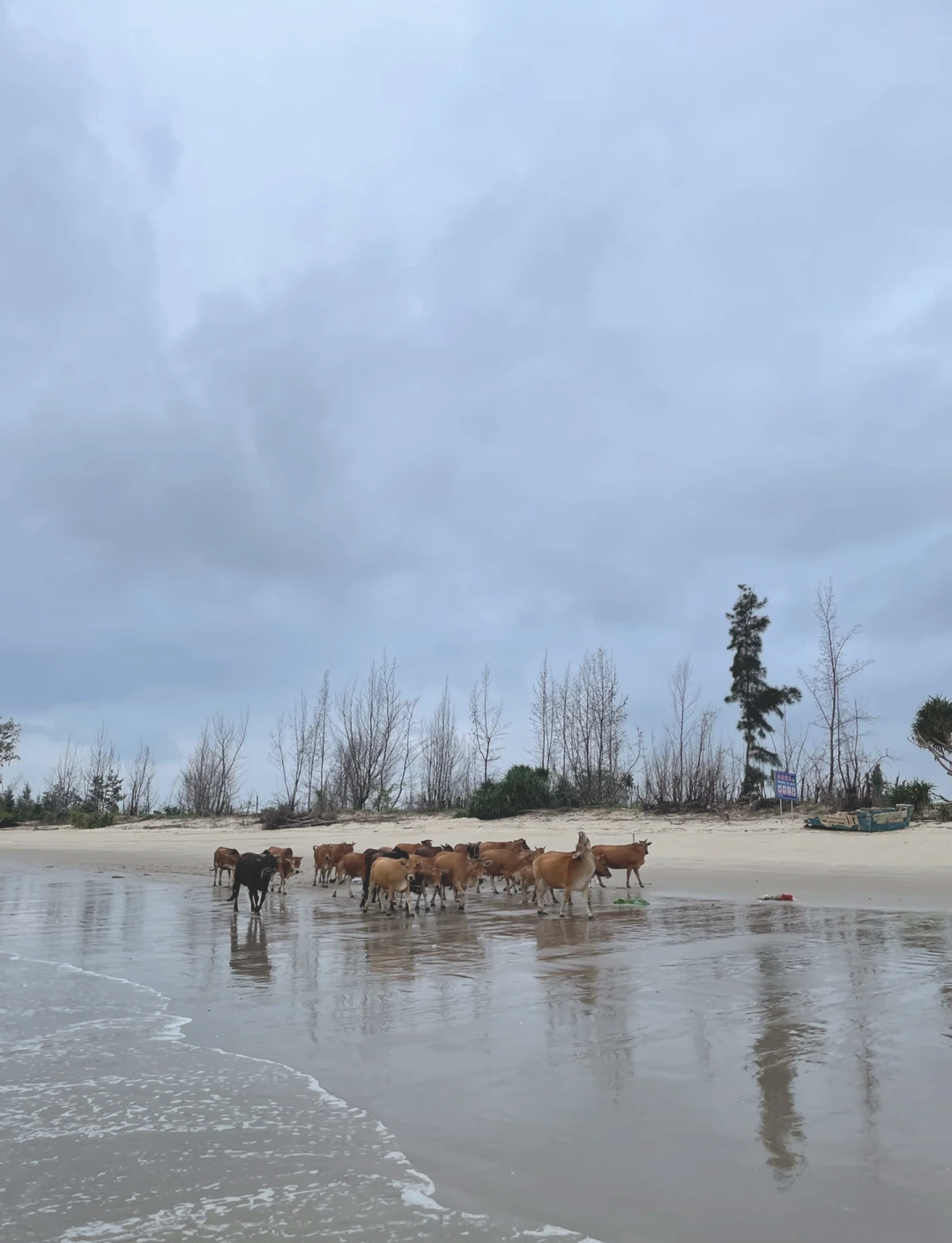沙扒湾旅游攻略_沙扒湾旅游攻略路线