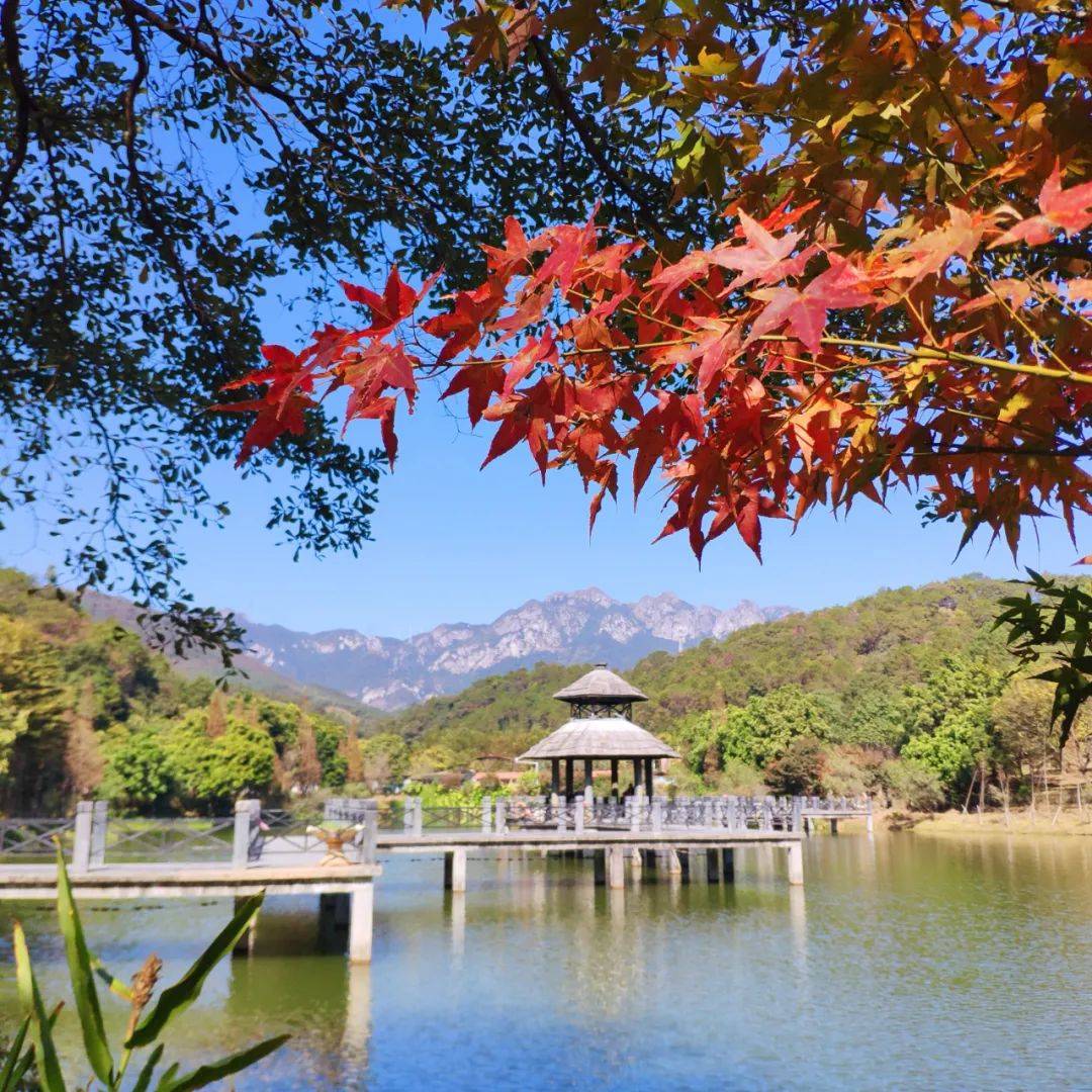 佛冈旅游_佛冈旅游景点推荐