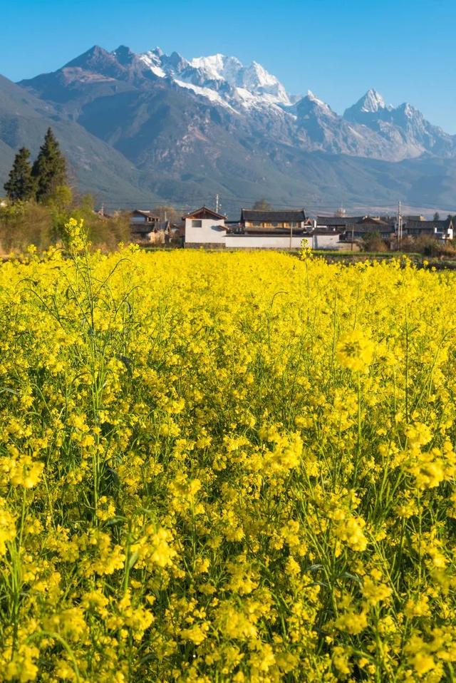 春季旅游_春季旅游攻略必去景点推荐 春季旅游_春季旅游攻略必去景点推荐