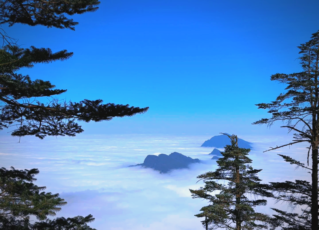 瓦屋山旅游_瓦屋山旅游攻略