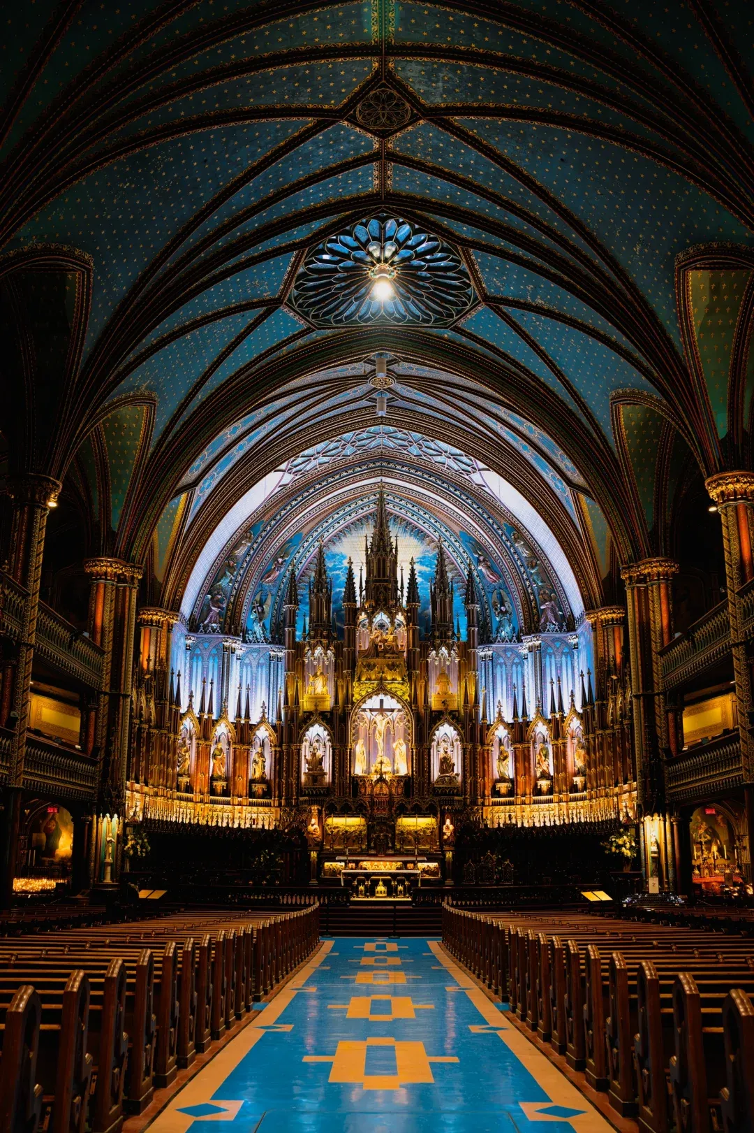 蒙特利尔旅游_蒙特利尔旅游攻略