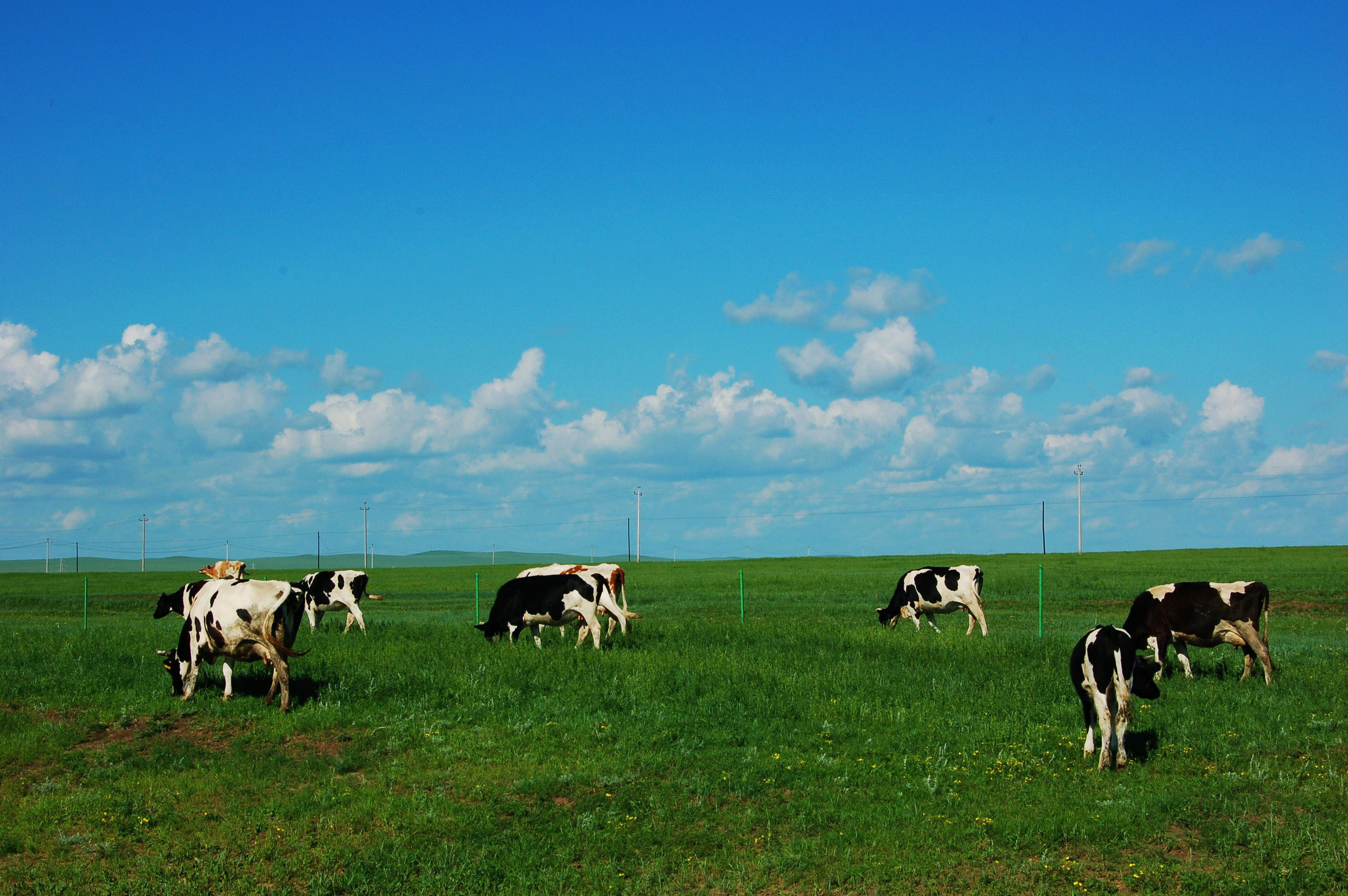 呼伦贝尔旅游_呼伦贝尔旅游地图全图 呼伦贝尔旅游_呼伦贝尔旅游地图全图