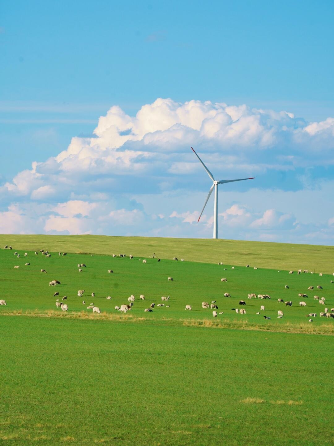 呼伦贝尔旅游_呼伦贝尔旅游地图全图 呼伦贝尔旅游_呼伦贝尔旅游地图全图