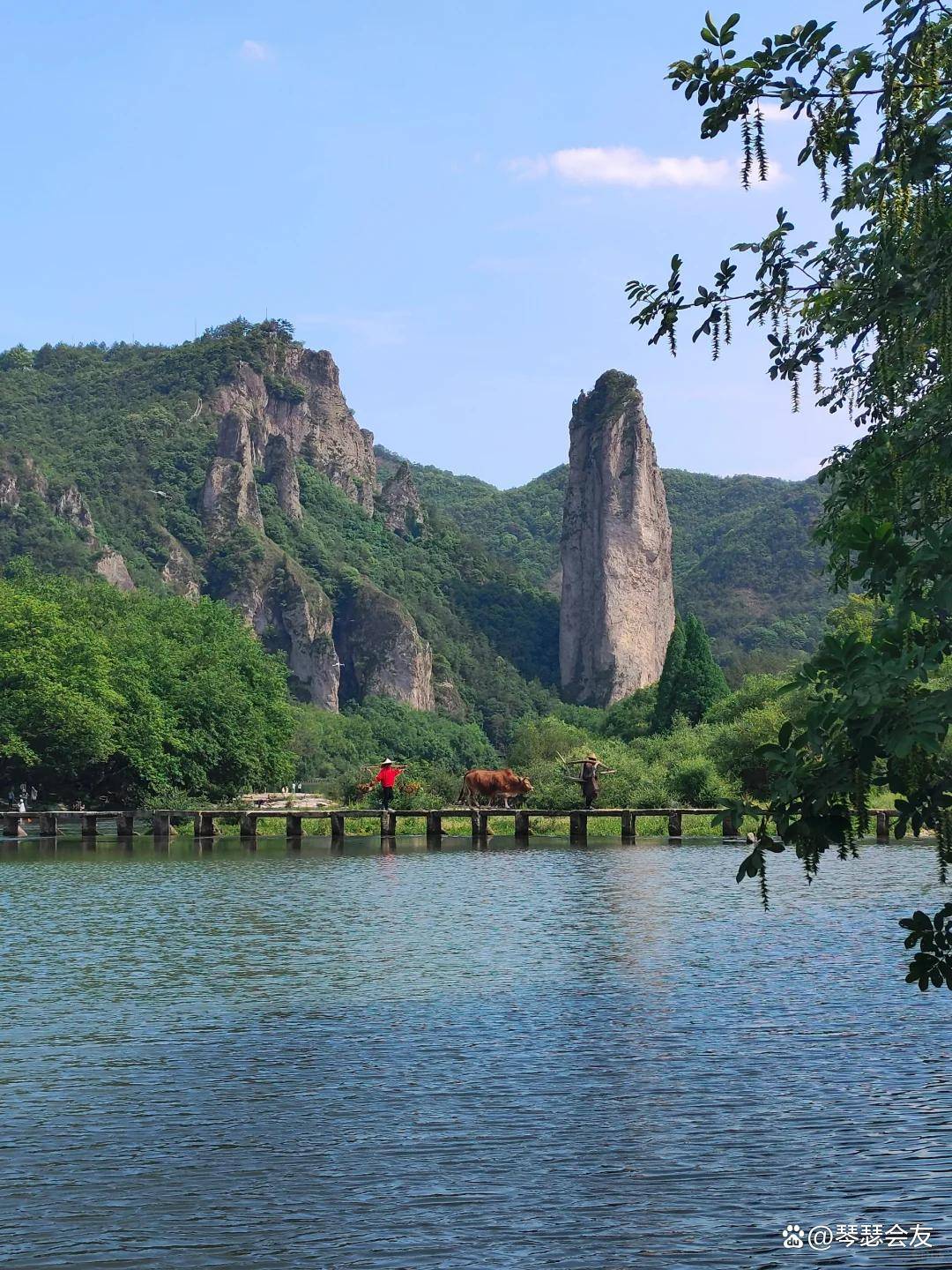 丽水旅游网_丽水旅游官网 丽水旅游网_丽水旅游官网