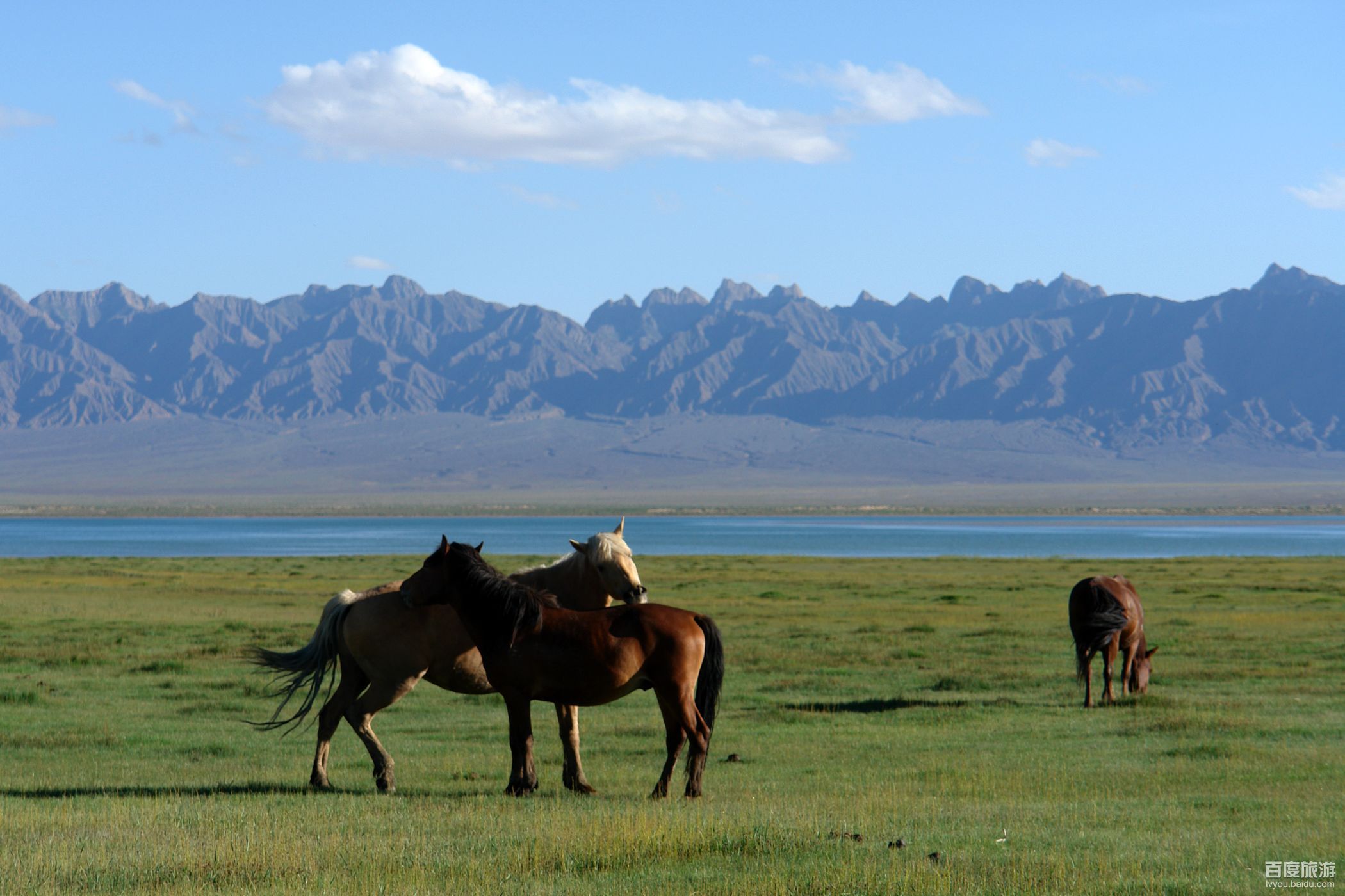 德令哈旅游_德令哈旅游景点推荐
