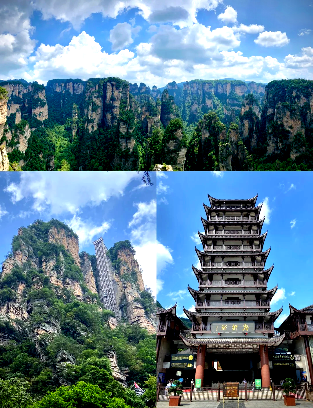 张家界旅游公司_张家界旅游公司电话