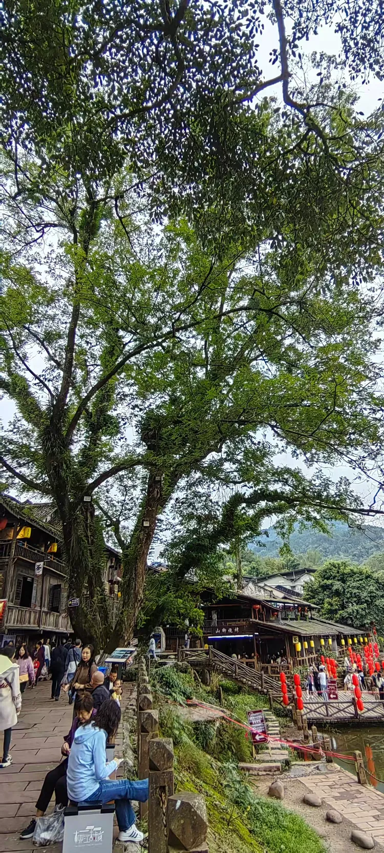 柳江古镇旅游攻略_柳江古镇旅游攻略详解