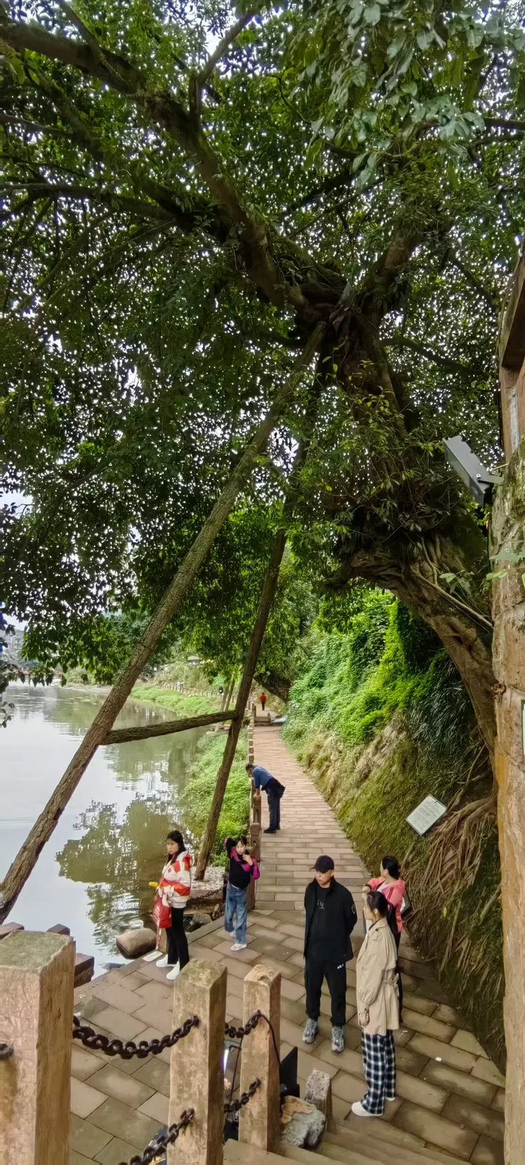 柳江古镇旅游攻略_柳江古镇旅游攻略详解