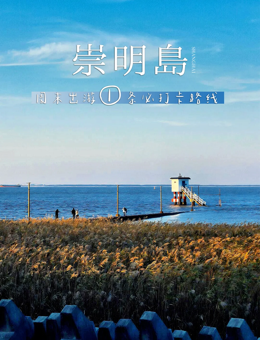 崇明岛旅游_崇明岛旅游景点推荐