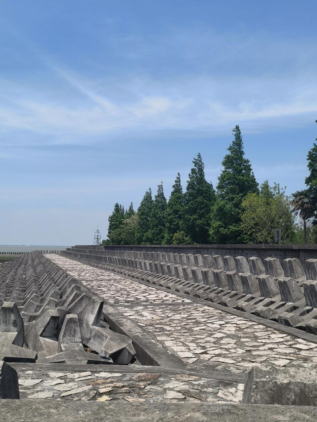 崇明岛旅游_崇明岛旅游景点推荐
