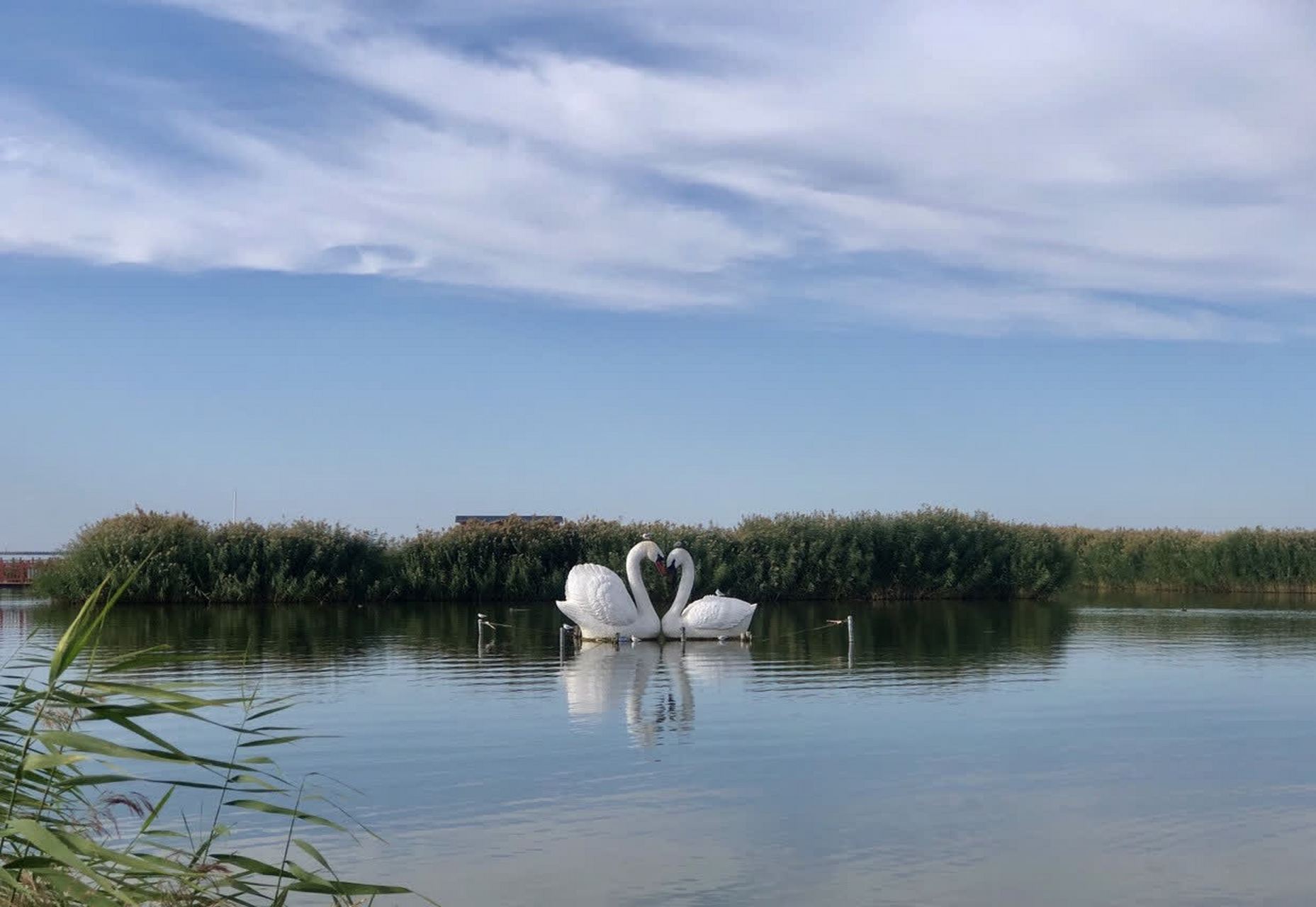 乌梁素海旅游_乌梁素海旅游区