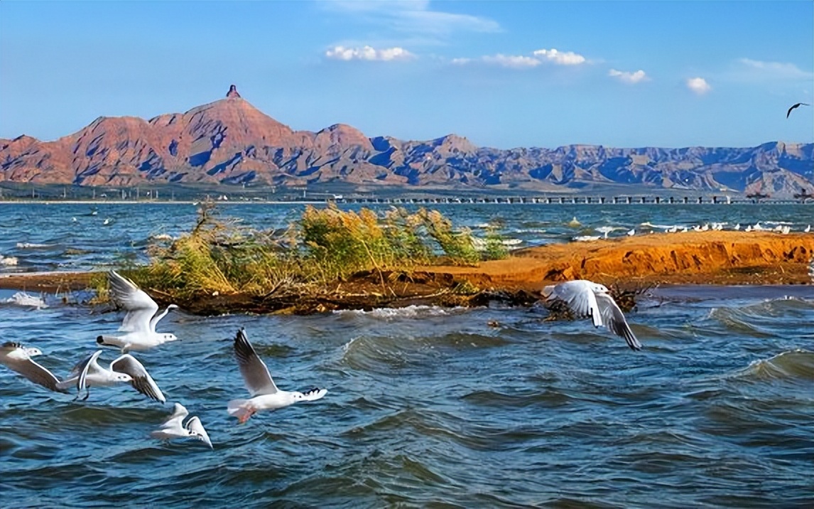 乌海旅游_乌海旅游团哪家最好