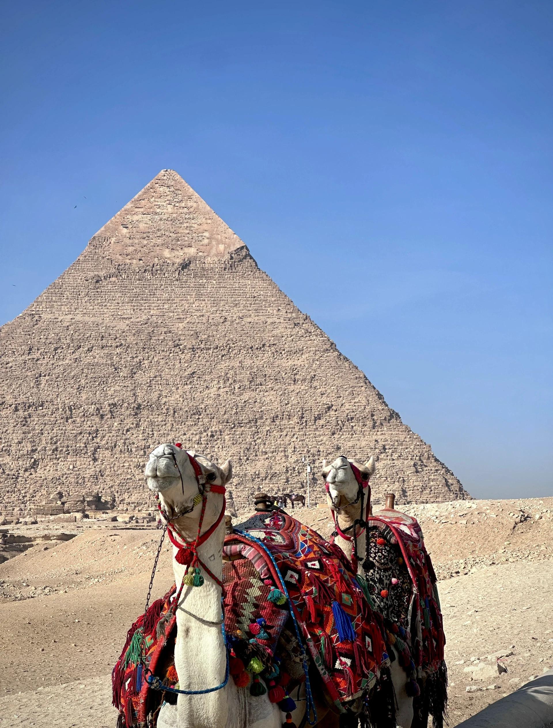 埃及旅游景点_埃及旅游景点有哪些