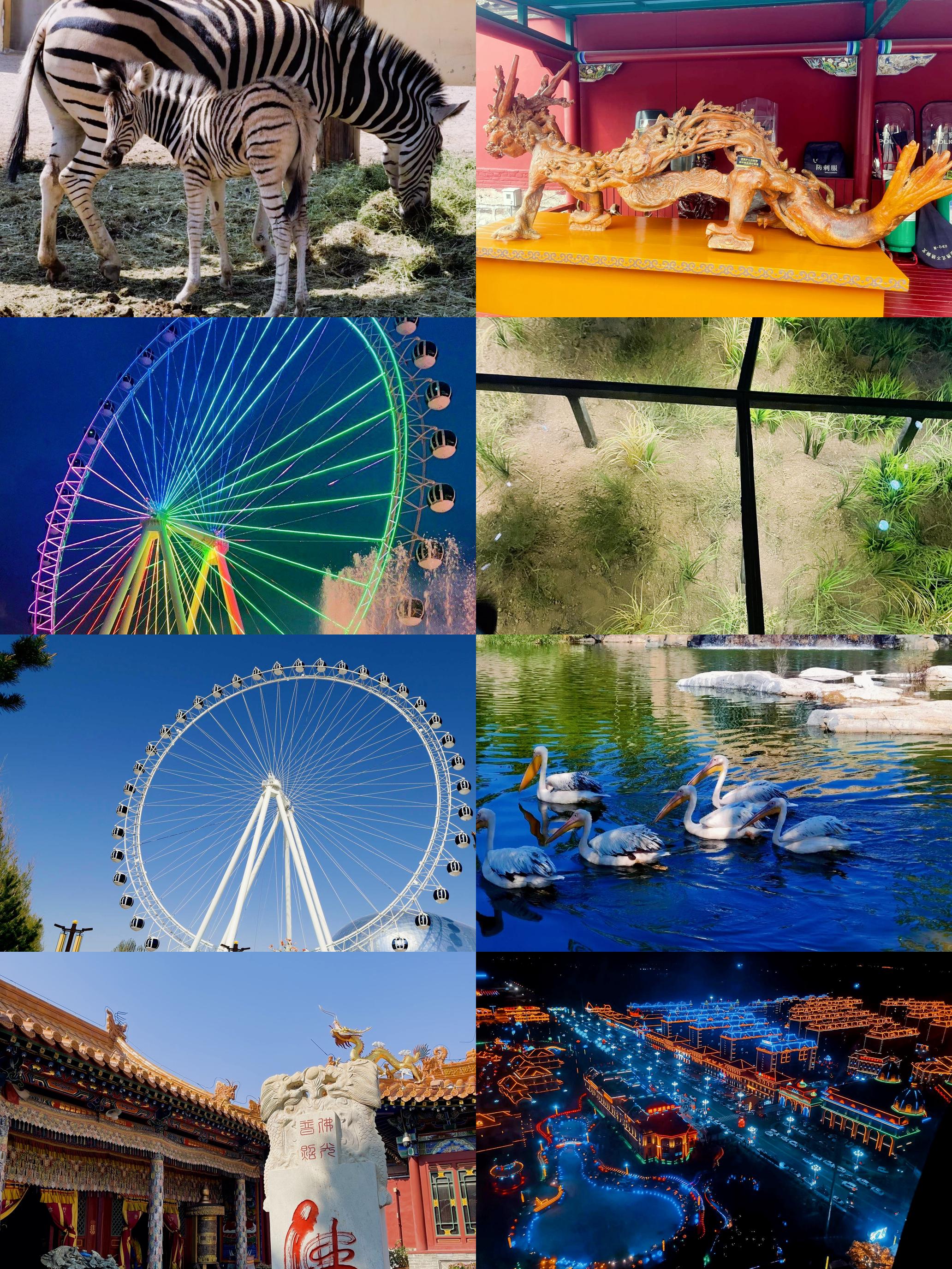 呼和浩特市旅游_呼和浩特市旅游职业技术学校