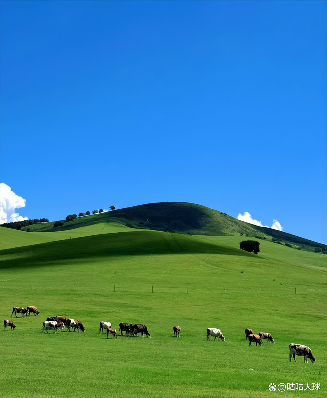 呼伦贝尔草原旅游_呼伦贝尔草原旅游最佳时间