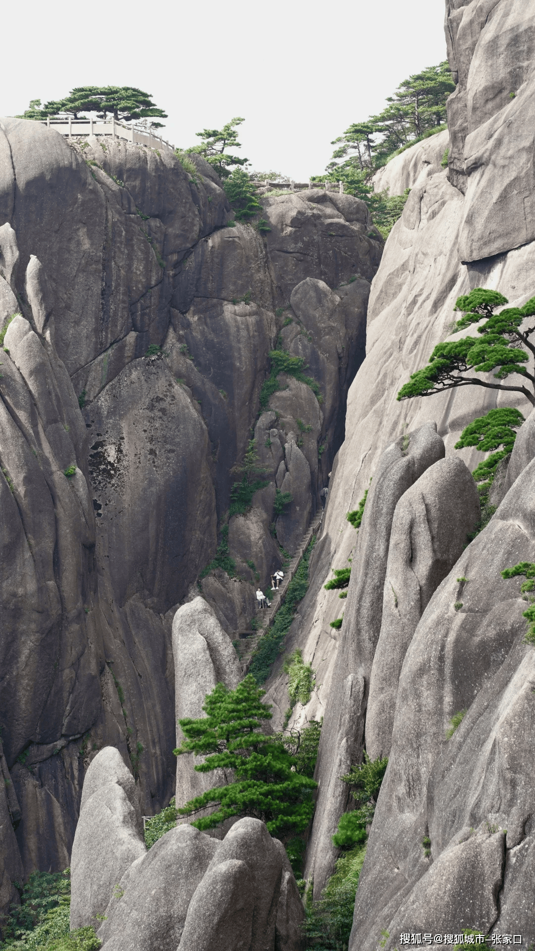 安徽黄山旅游景点_安徽黄山旅游景点有猴子吗