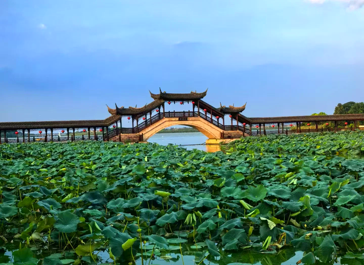 江南旅游_江南旅游地图