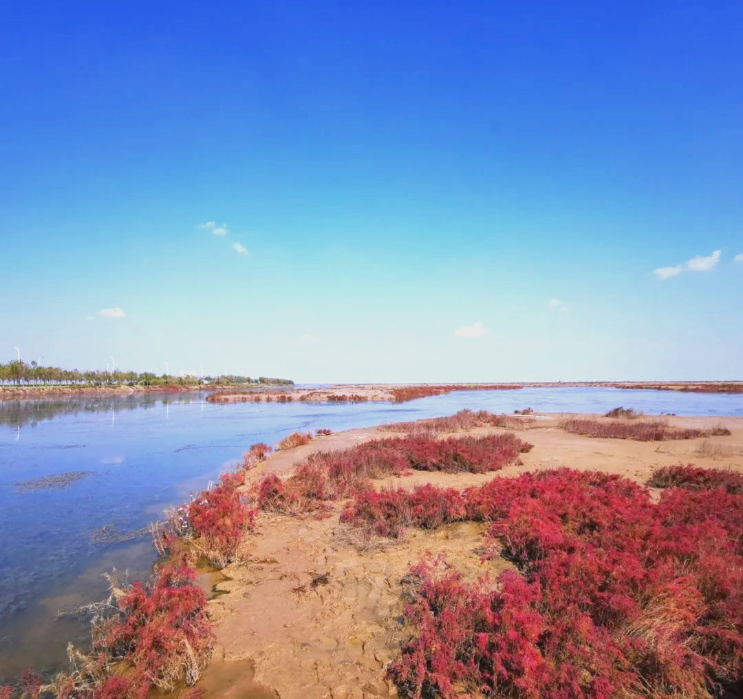 东营旅游_东营旅游景点排名前十 东营旅游_东营旅游景点排名前十