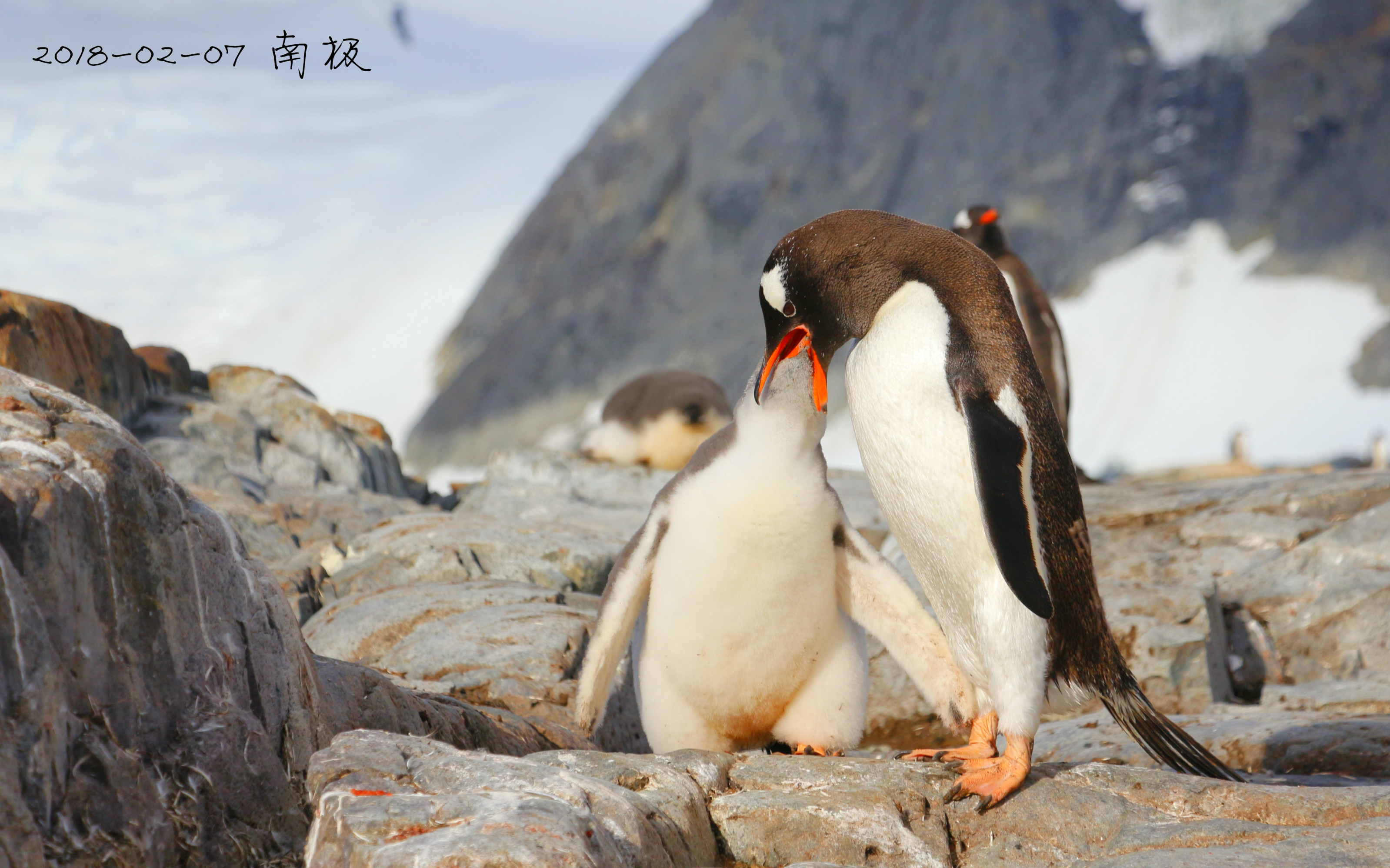 旅游卫视玩转地球_旅游卫视玩转地球纽约