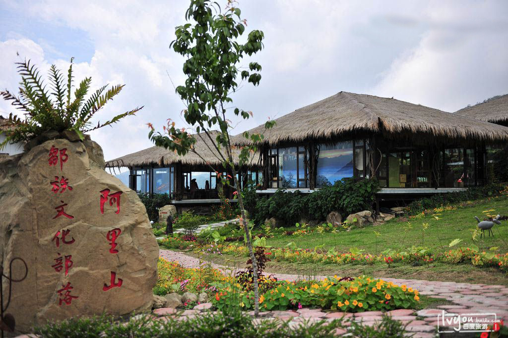 阿里山旅游攻略_阿里山旅游攻略一日游