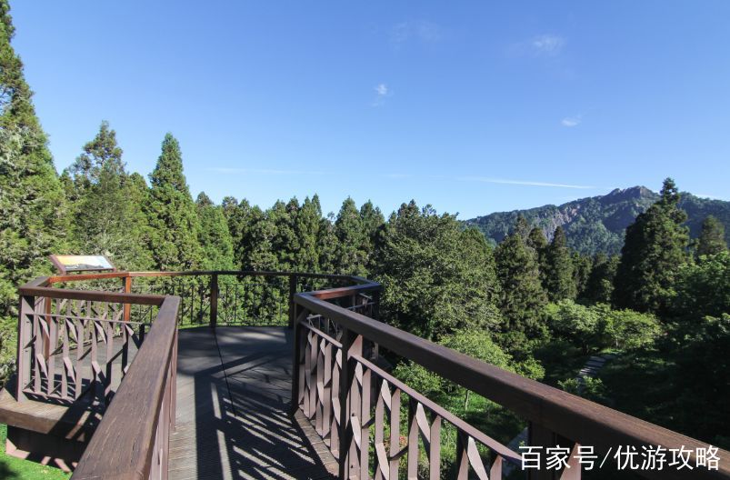 阿里山旅游攻略_阿里山旅游攻略一日游
