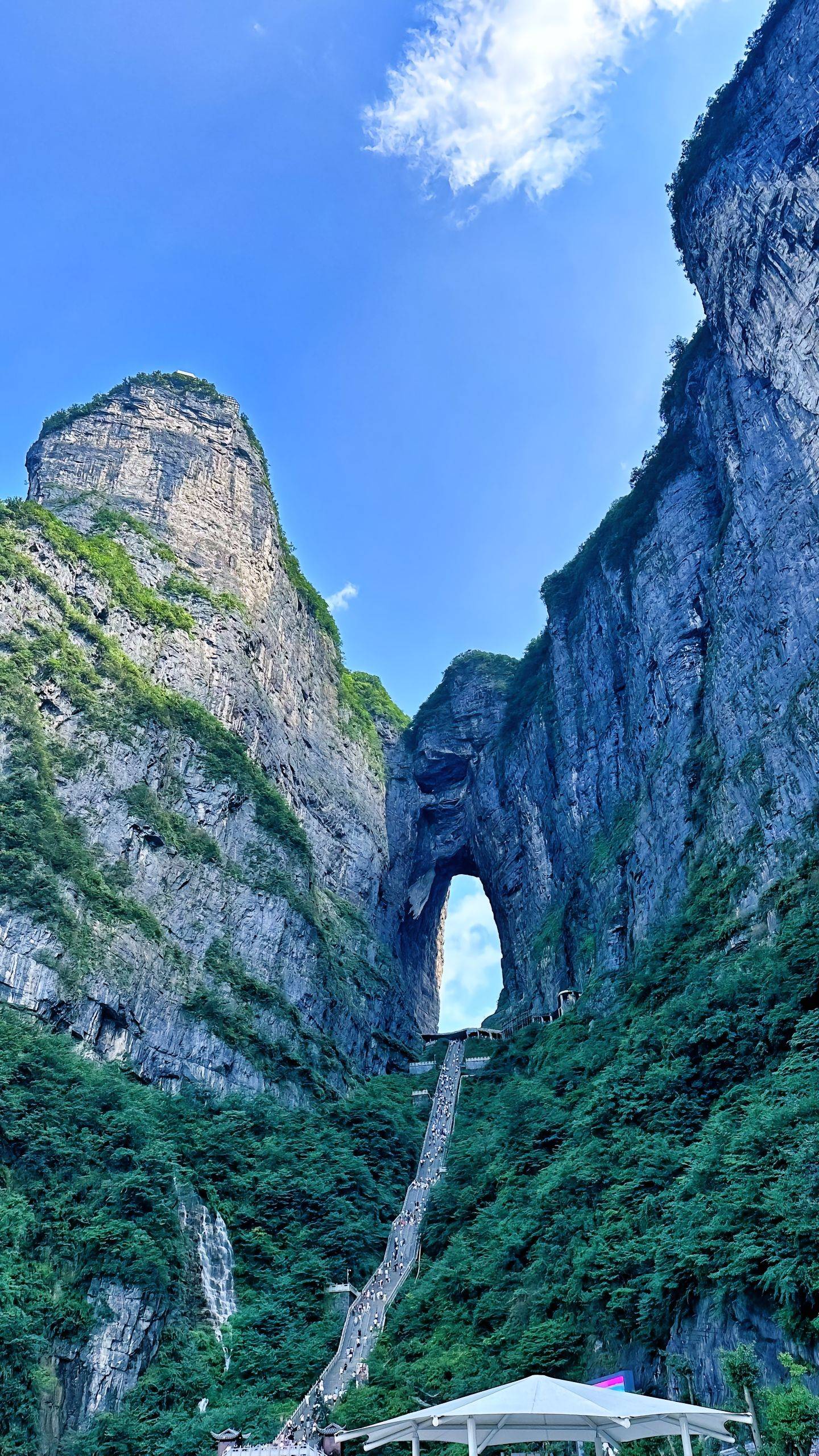 张家界旅游_张家界旅游公司