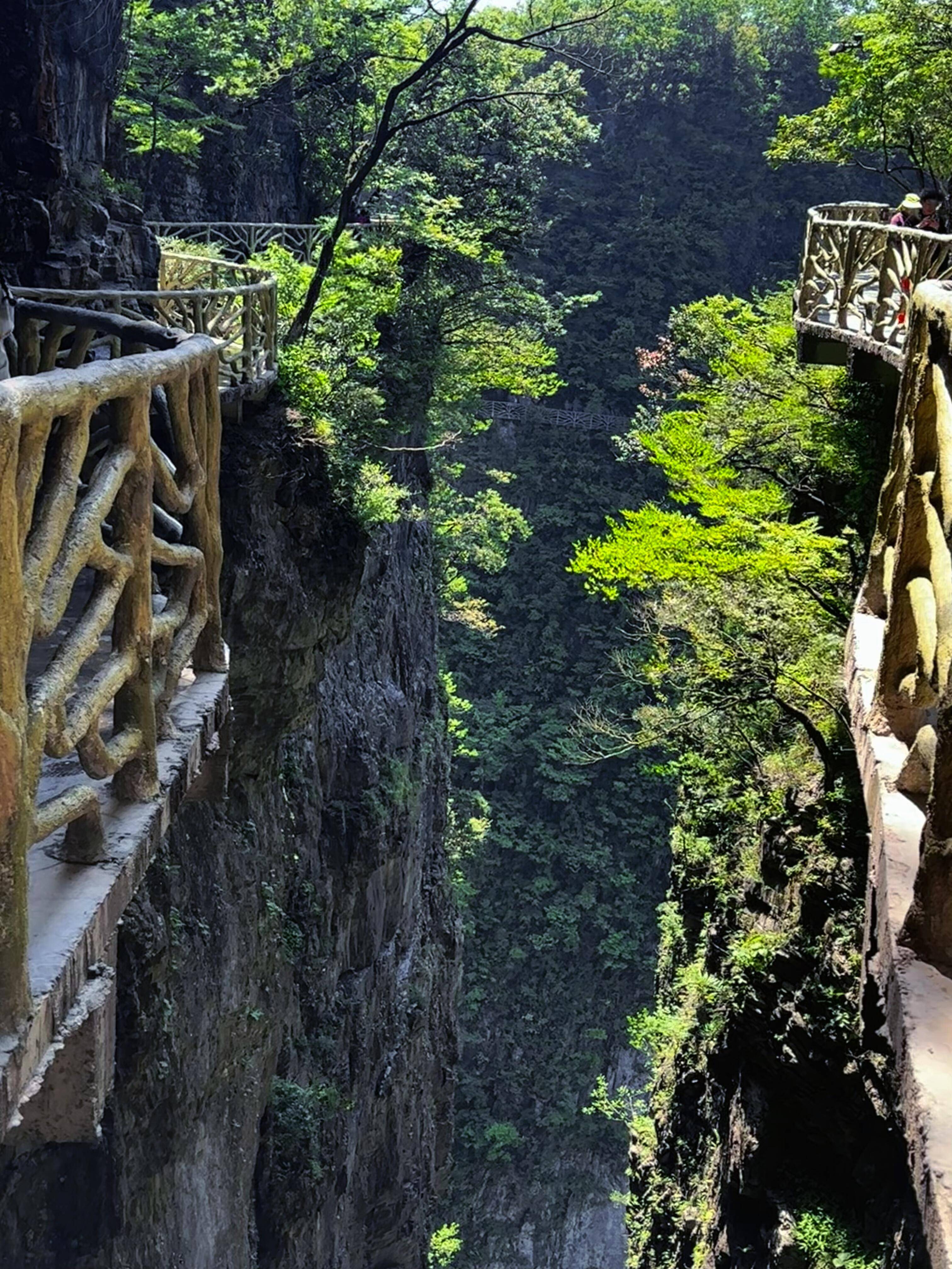 张家界旅游季节_张家界旅游几月份去最好