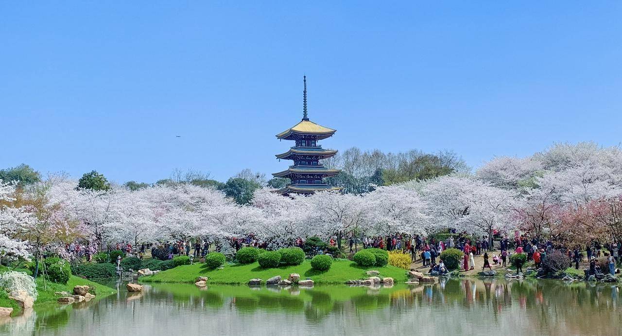 上海去日本旅游_上海去日本旅游人数