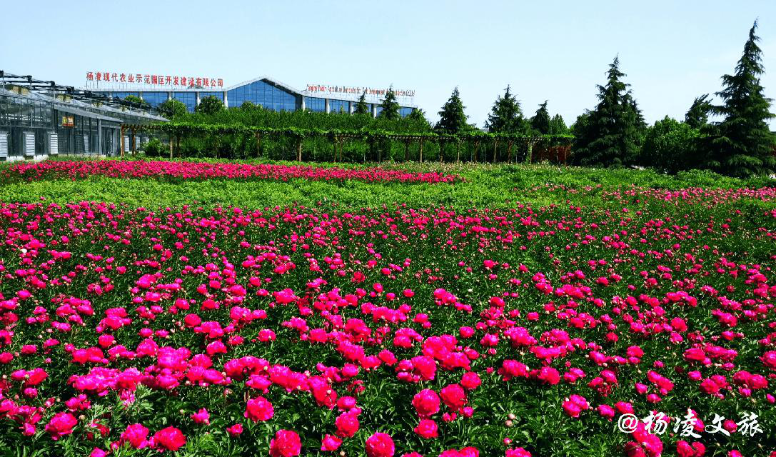 陕西杨凌旅游景点_杨凌旅游景点排名前十 陕西杨凌旅游景点_杨凌旅游景点排名前十