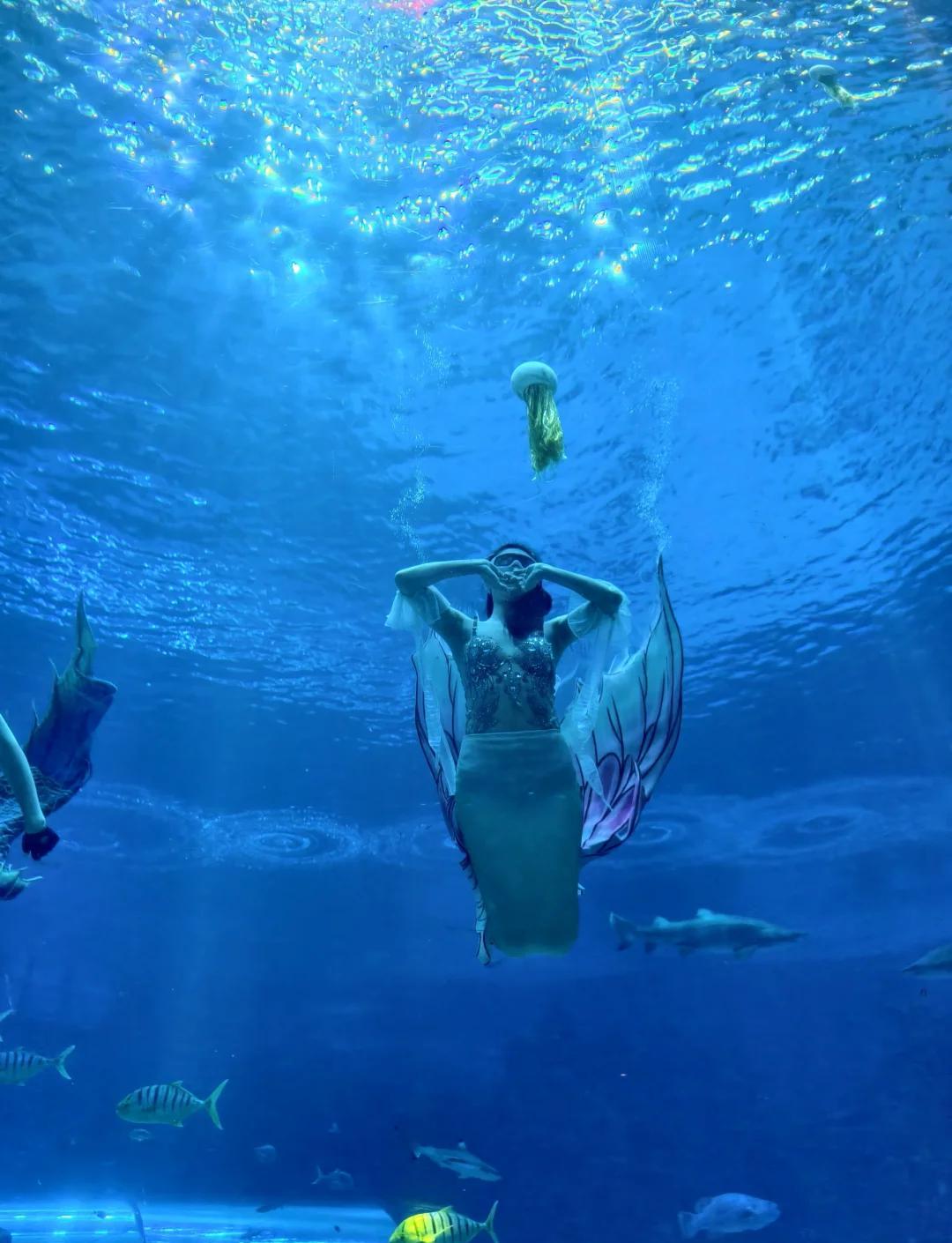 海洋旅游_海洋旅游资源 海洋旅游_海洋旅游资源