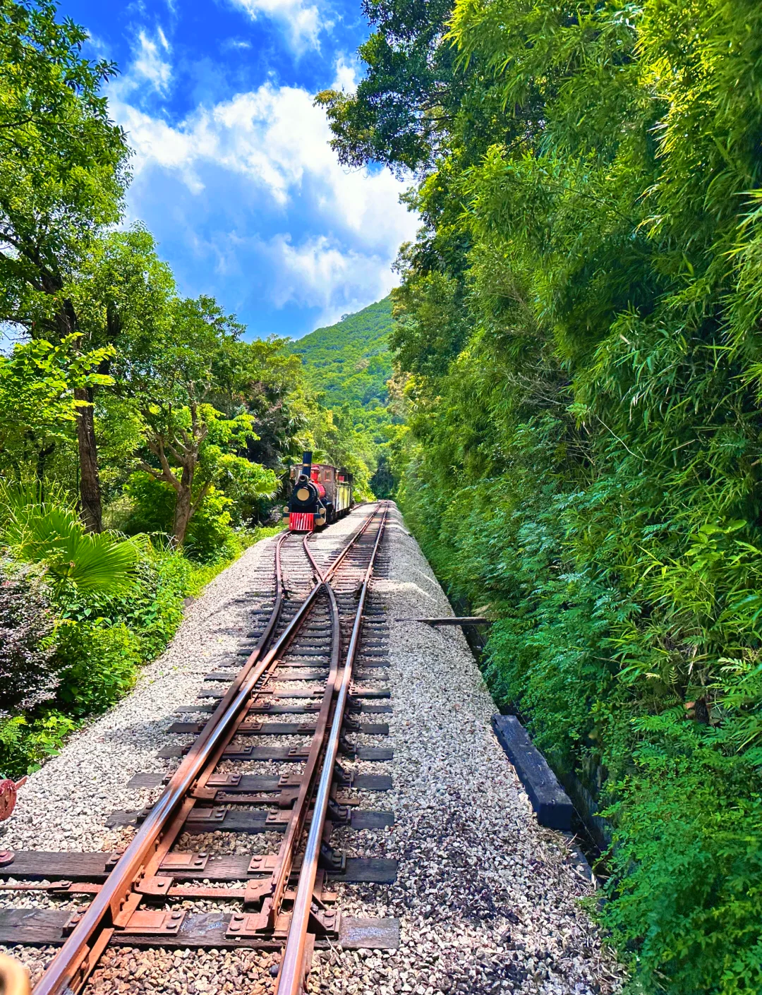 东部华侨城旅游攻略_东部华侨城景区门票多少钱