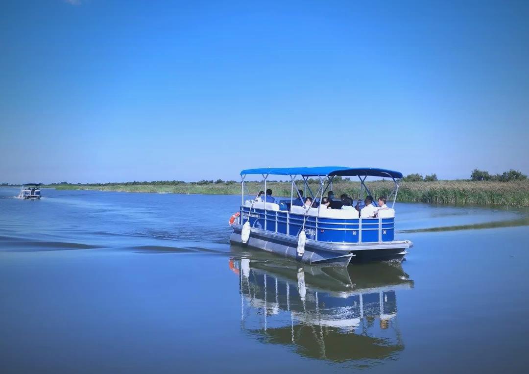 黄河口生态旅游区_黄河口生态旅游区在哪个城市