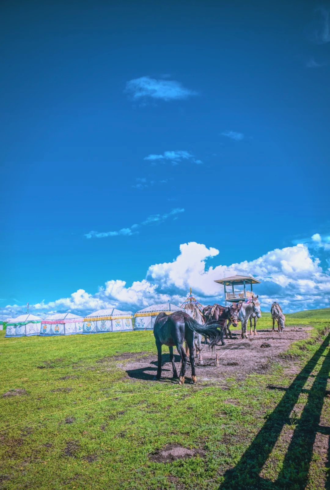 若尔盖旅游_若尔盖旅游作文400字 若尔盖旅游_若尔盖旅游作文400字