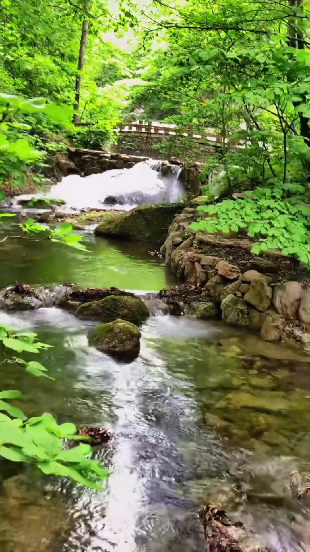 端午旅游_端午旅游市场回暖