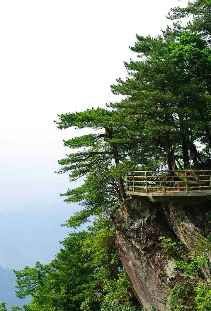 井冈山旅游景点_井冈山旅游景点介绍